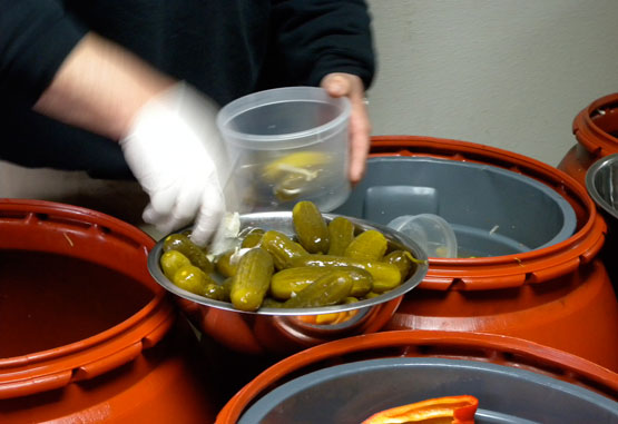 "proizvodnja" u Srbiji